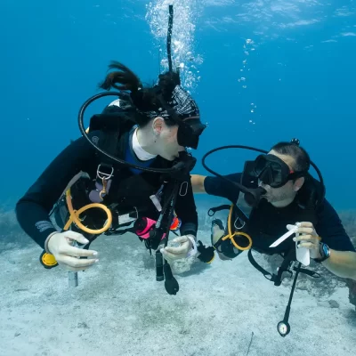 Fethiye Tüplü Dalış